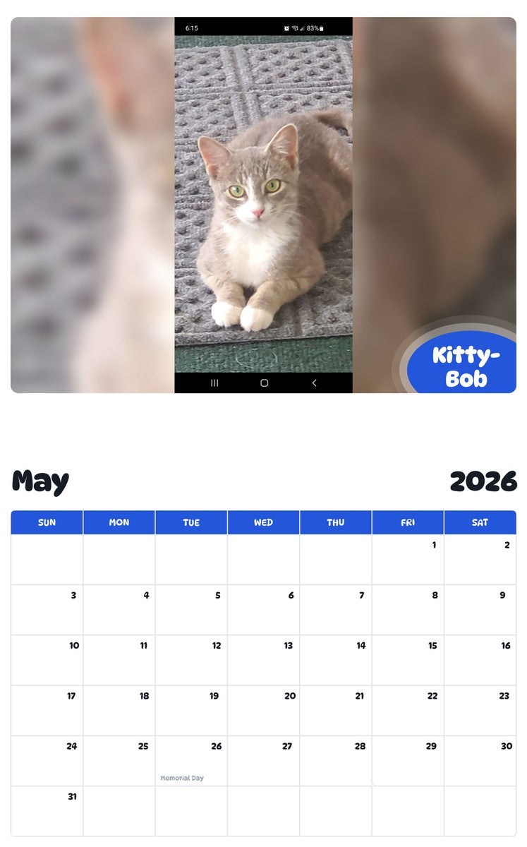 2026 - 2027 Kitty-Bob - Pawidols Pet Calendar