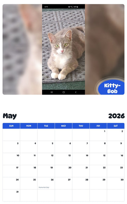 2026 - 2027 Kitty-Bob - Pawidols Pet Calendar