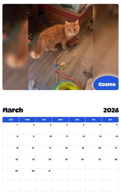 November 2025 - October 2026 Cosmo - Pawidols Pet Calendar