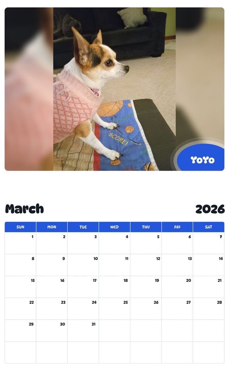 November 2025 - October 2026 YoYo - Pawidols Pet Calendar