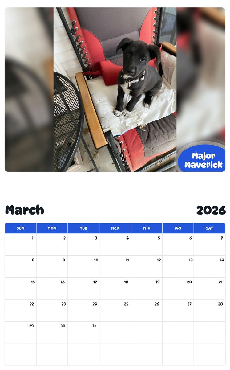 November 2025 - October 2026 Major Maverick - Pawidols Pet Calendar
