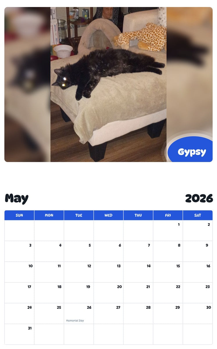 2026 - 2027 Gypsy - Pawidols Pet Calendar
