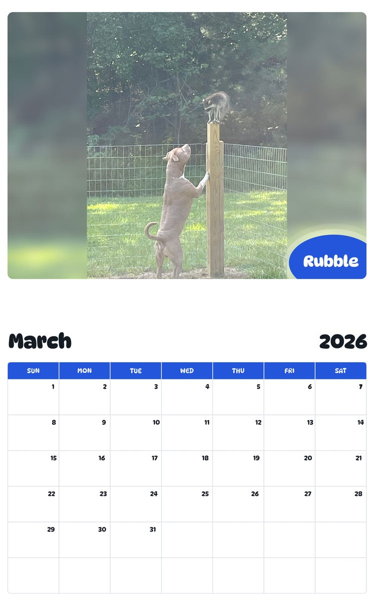 November 2025 - October 2026 Rubble - Pawidols Pet Calendar