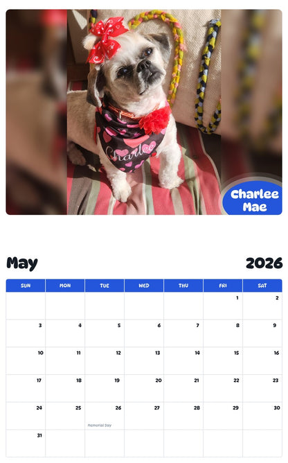 2026 - 2027 Charlee Mae - Pawidols Pet Calendar