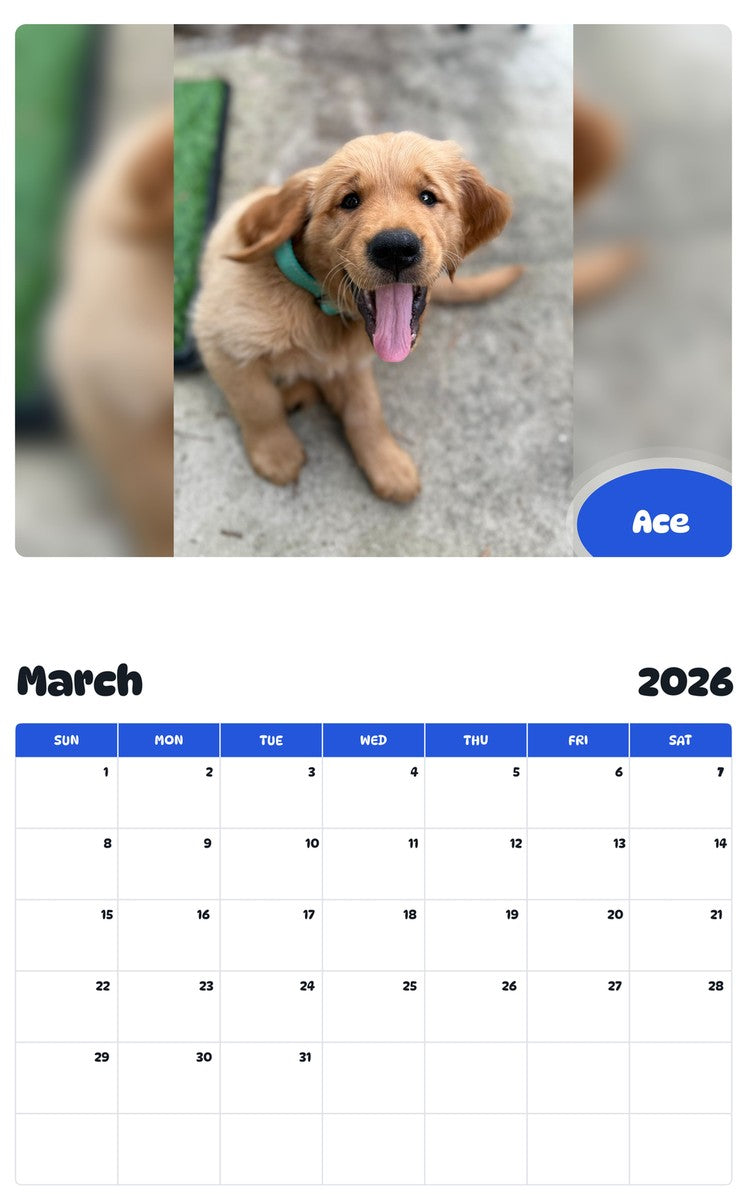 November 2025 - October 2026 Ace - Pawidols Pet Calendar
