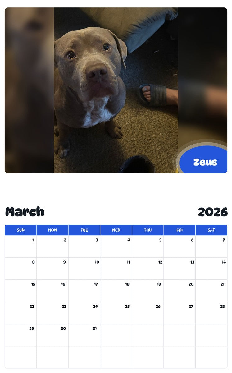 November 2025 - October 2026 Zeus - Pawidols Pet Calendar