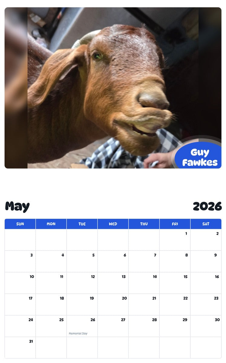 2026 - 2027 Guy Fawkes - Pawidols Pet Calendar