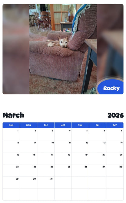 November 2025 - October 2026 Rocky - Pawidols Pet Calendar