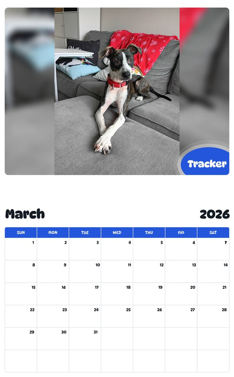 November 2025 - October 2026 Tracker - Pawidols Pet Calendar