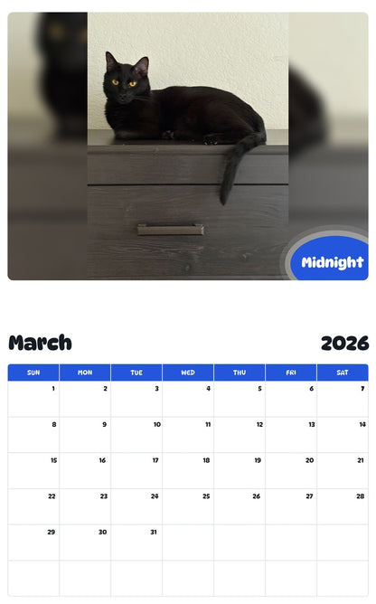 November 2025 - October 2026 Midnight - Pawidols Pet Calendar