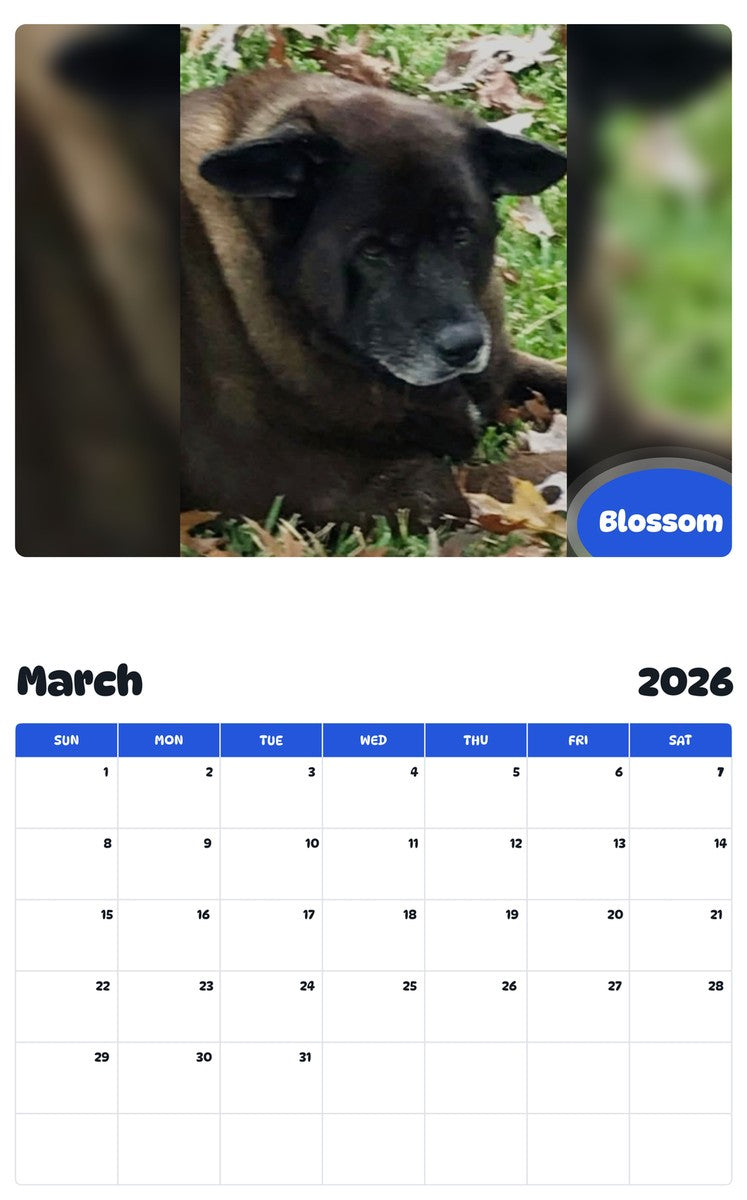November 2025 - October 2026 Blossom - Pawidols Pet Calendar