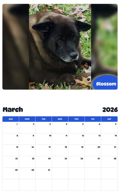 November 2025 - October 2026 Blossom - Pawidols Pet Calendar