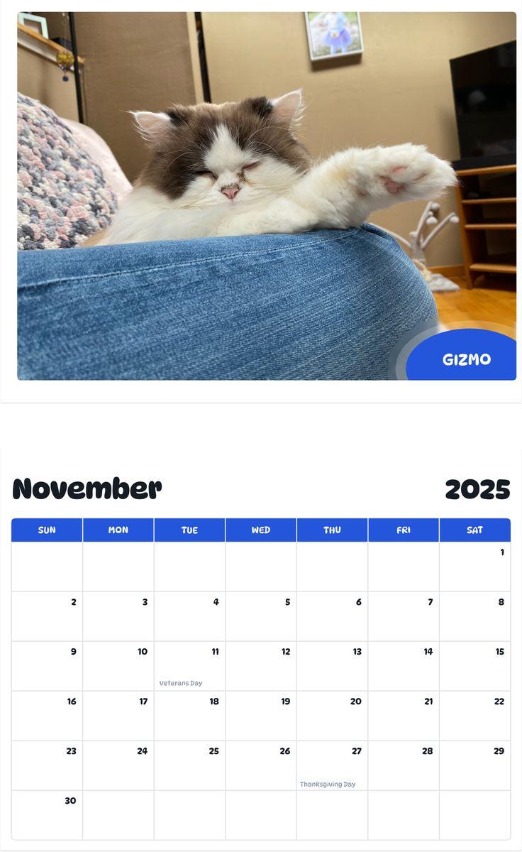 July 2025 - June 2026 Gizmo - Pawidols Pet Calendar