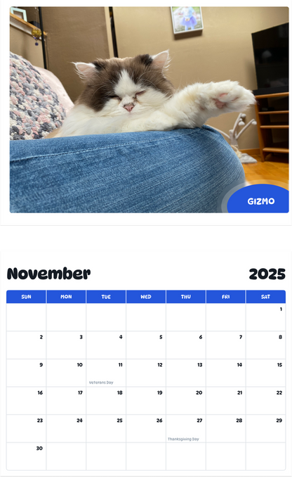 July 2025 - June 2026 Gizmo - Pawidols Pet Calendar