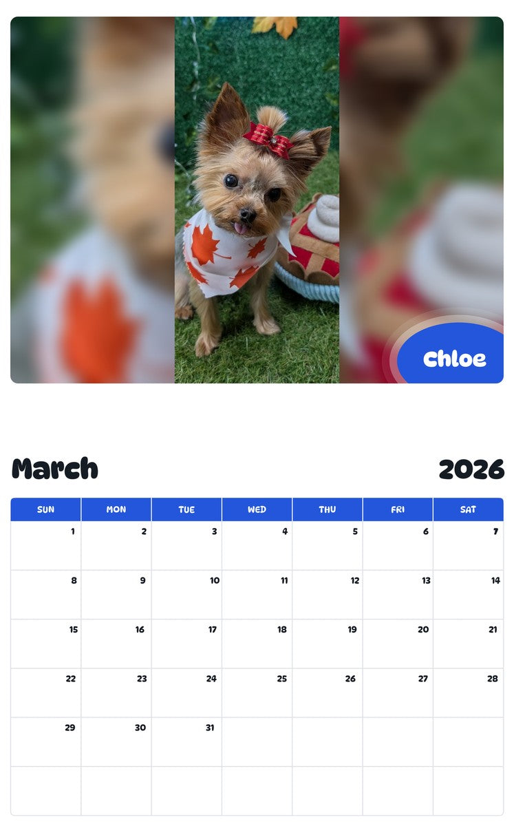 November 2025 - October 2026 Chloe - Pawidols Pet Calendar