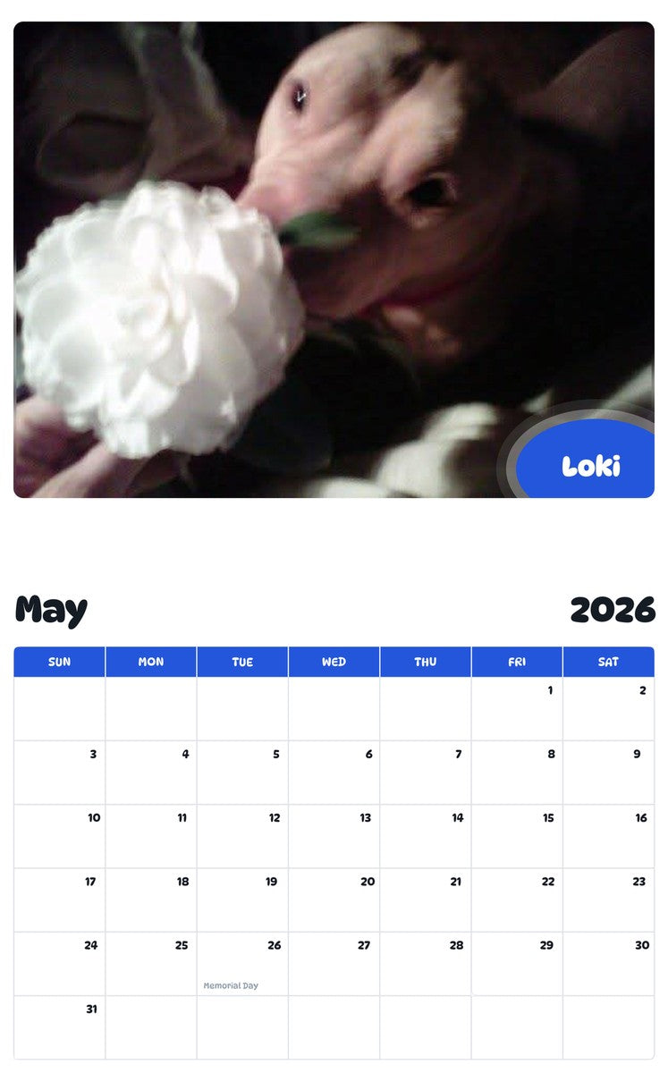 2026 - 2027 Loki - Pawidols Pet Calendar