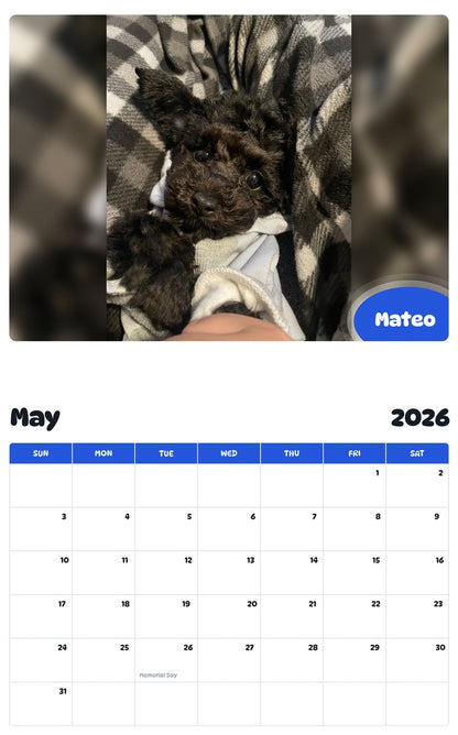 2026 - 2027 Mateo - Pawidols Pet Calendar
