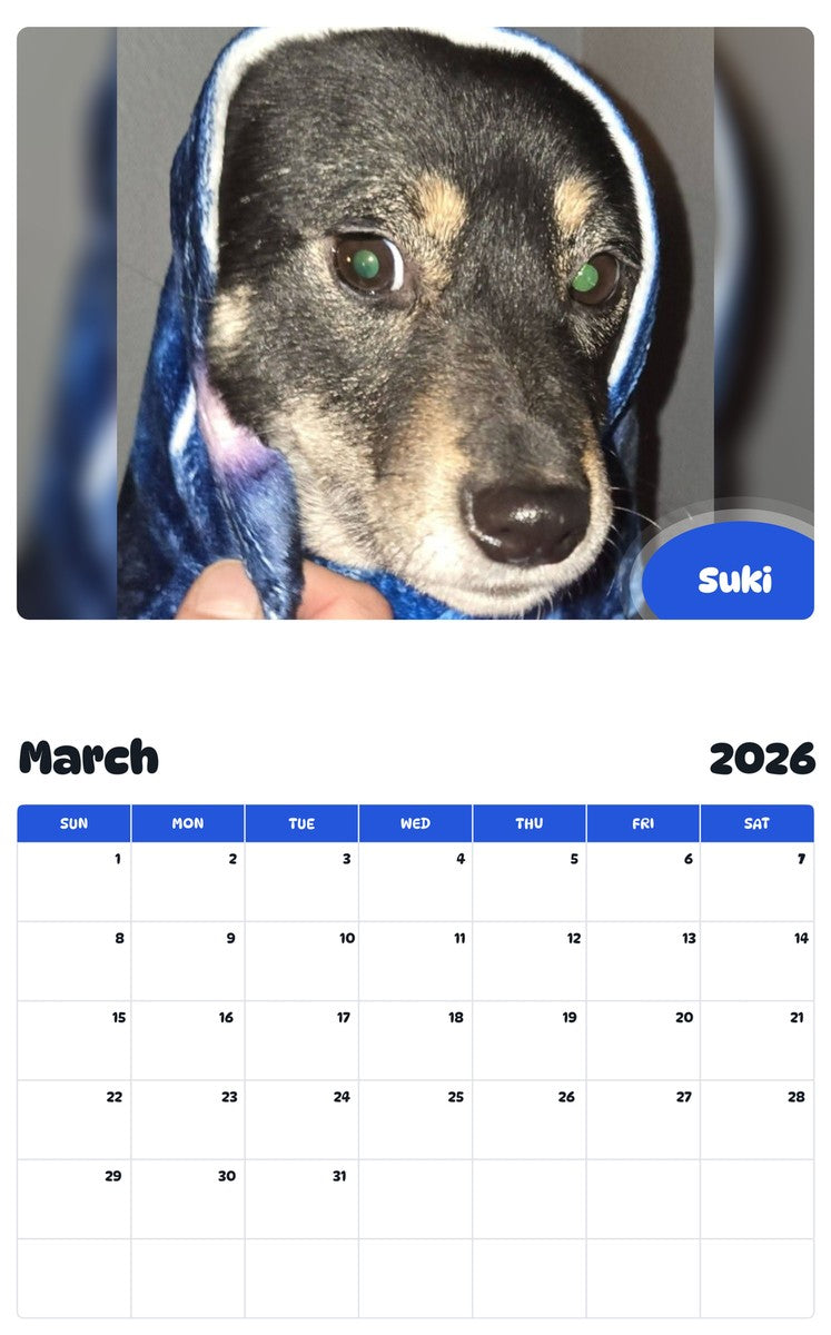November 2025 - October 2026 Suki - Pawidols Pet Calendar