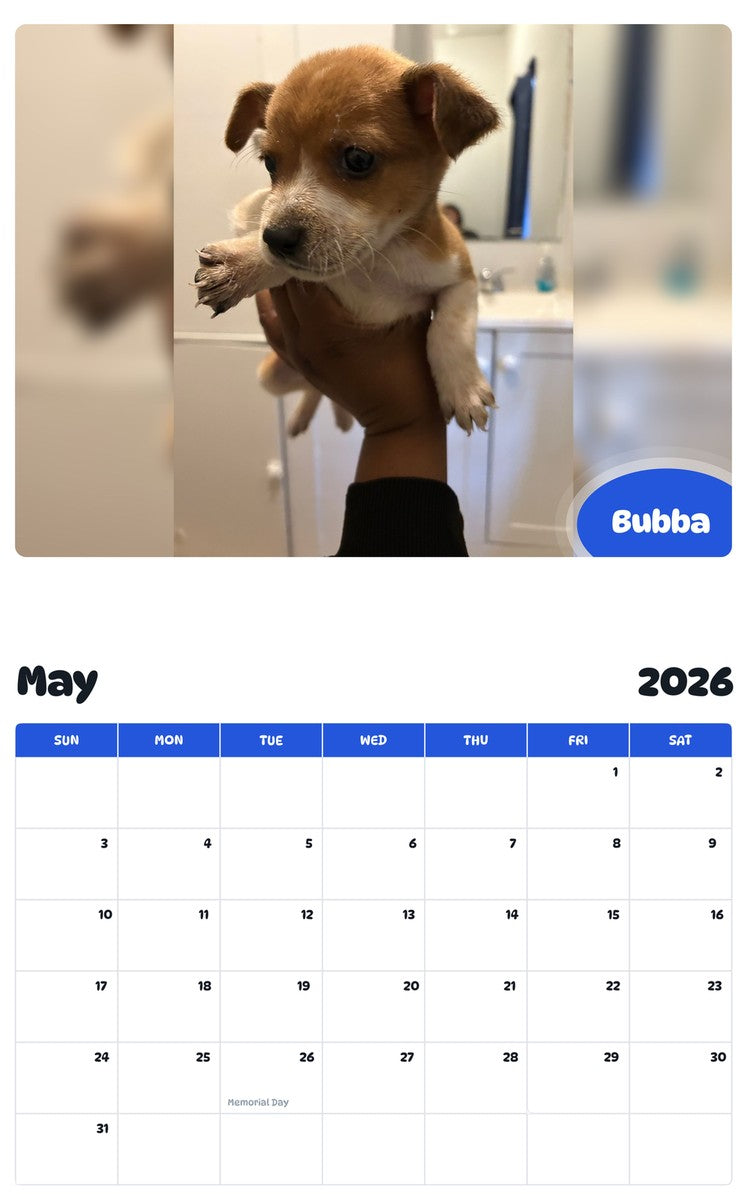 2026 - 2027 Bubba - Pawidols Pet Calendar