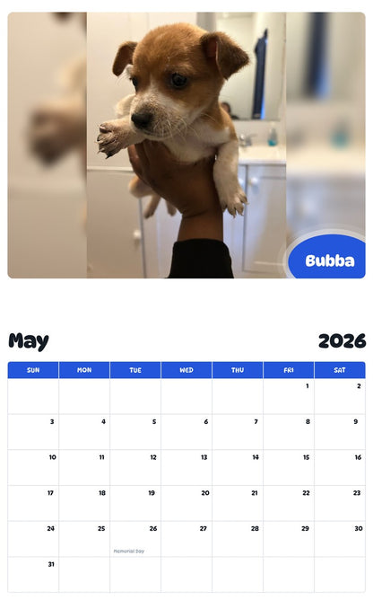2026 - 2027 Bubba - Pawidols Pet Calendar