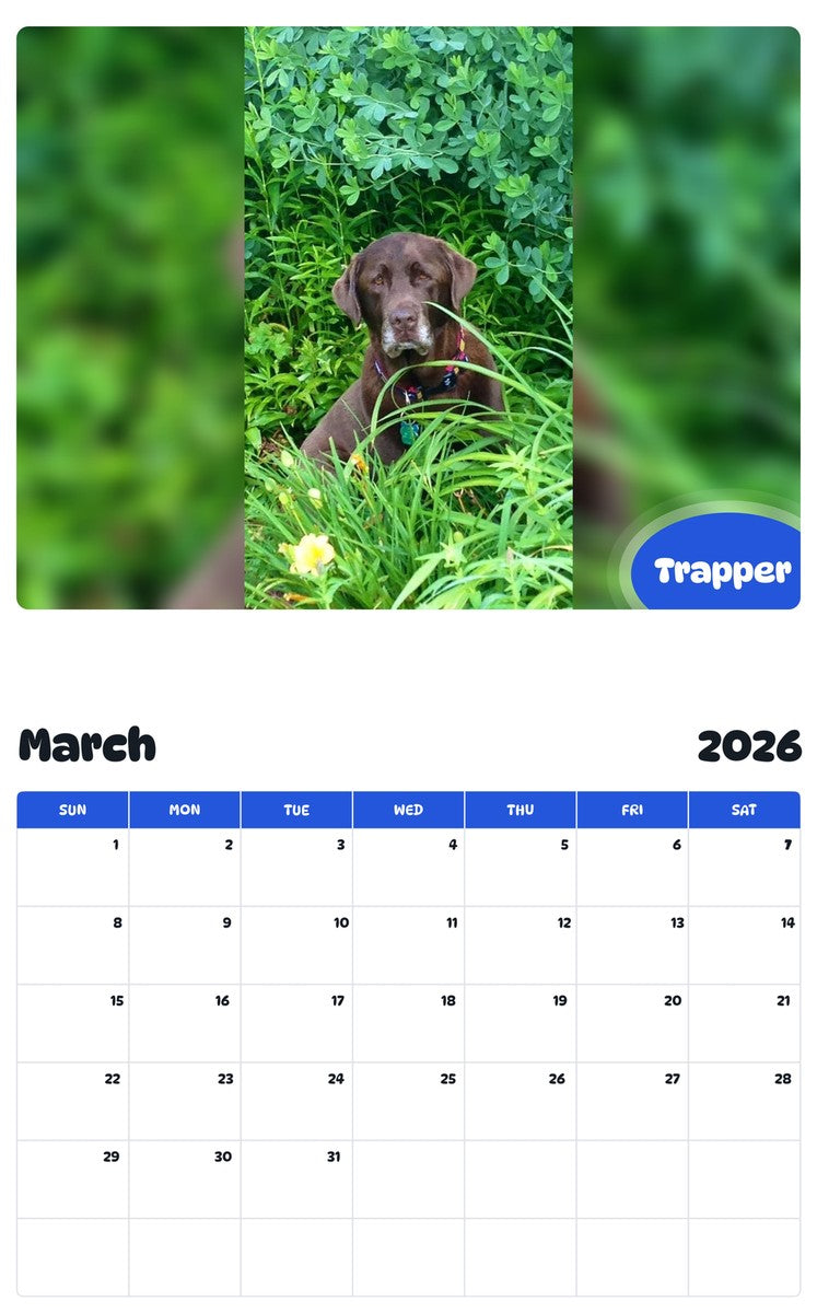 November 2025 - October 2026 Trapper - Pawidols Pet Calendar