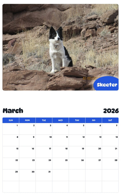 November 2025 - October 2026 Skeeter - Pawidols Pet Calendar