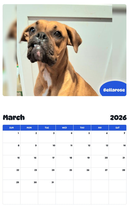 November 2025 - October 2026 Bellarose - Pawidols Pet Calendar