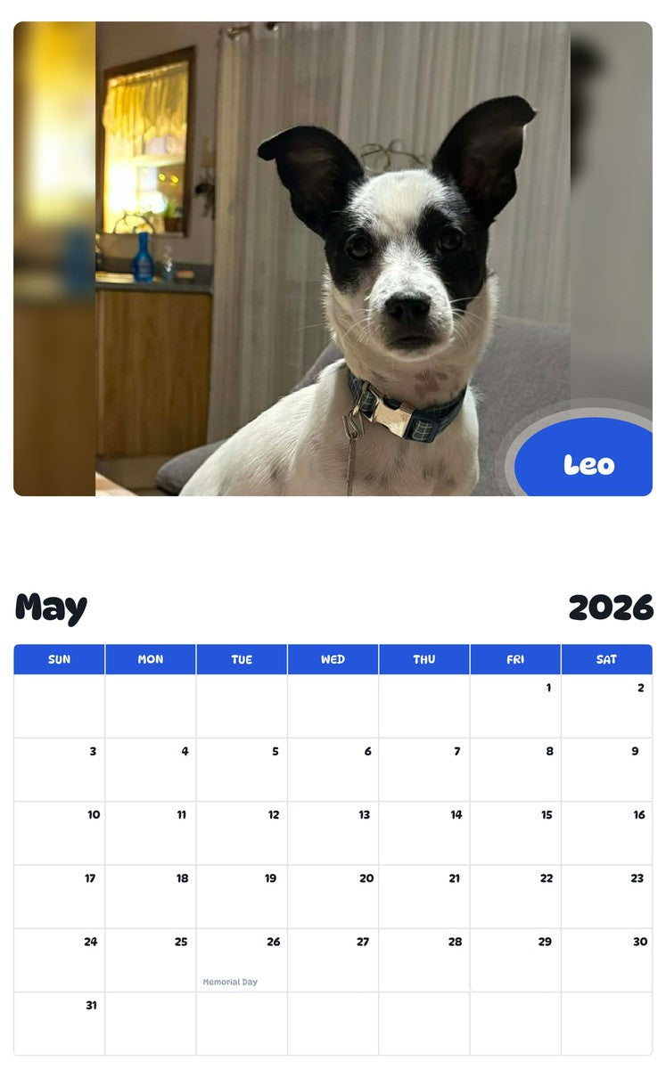 2026 - 2027 Leo - Pawidols Pet Calendar