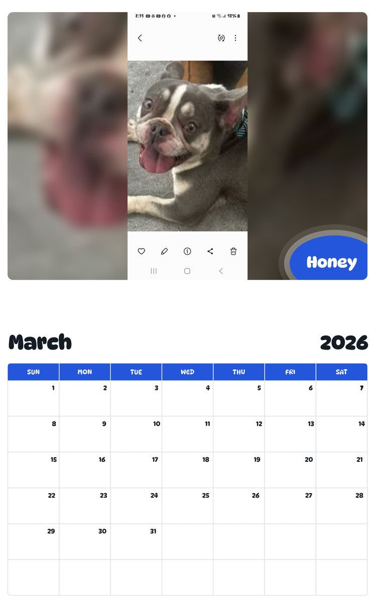 November 2025 - October 2026 Honey - Pawidols Pet Calendar