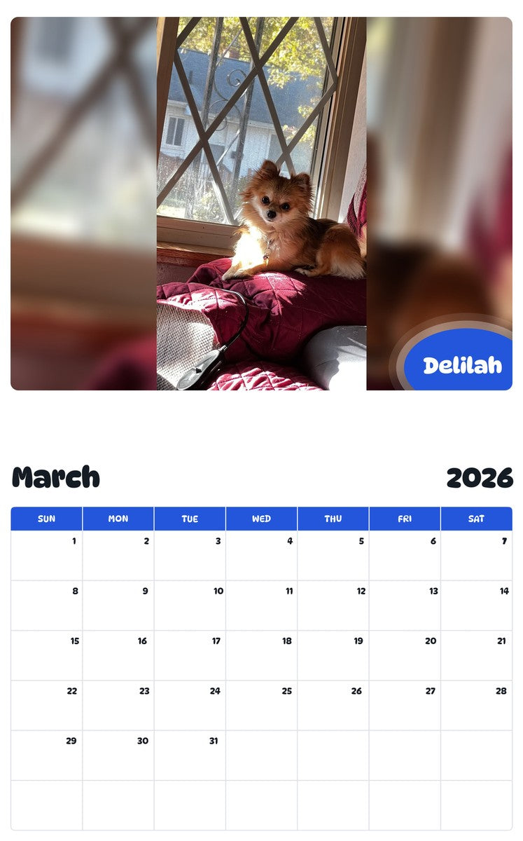 November 2025 - October 2026 Delilah - Pawidols Pet Calendar