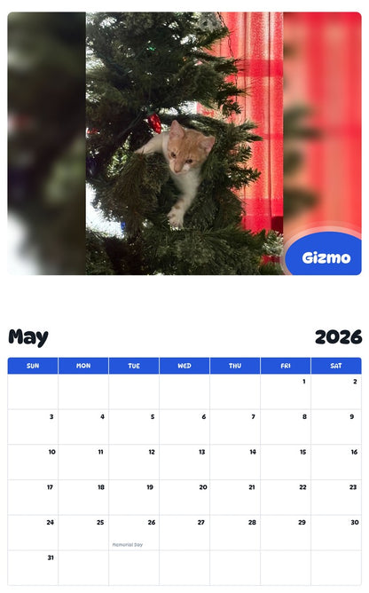 2026 - 2027 Gizmo - Pawidols Pet Calendar