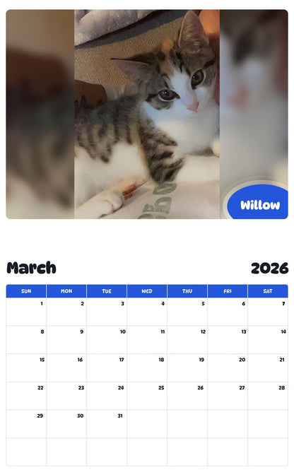November 2025 - October 2026 Willow - Pawidols Pet Calendar