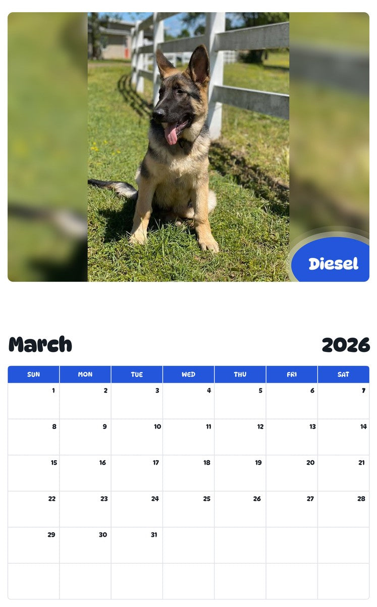 November 2025 - October 2026 Diesel - Pawidols Pet Calendar