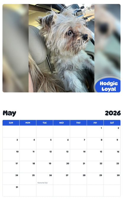 2026 - 2027 Hodgie Loyal - Pawidols Pet Calendar