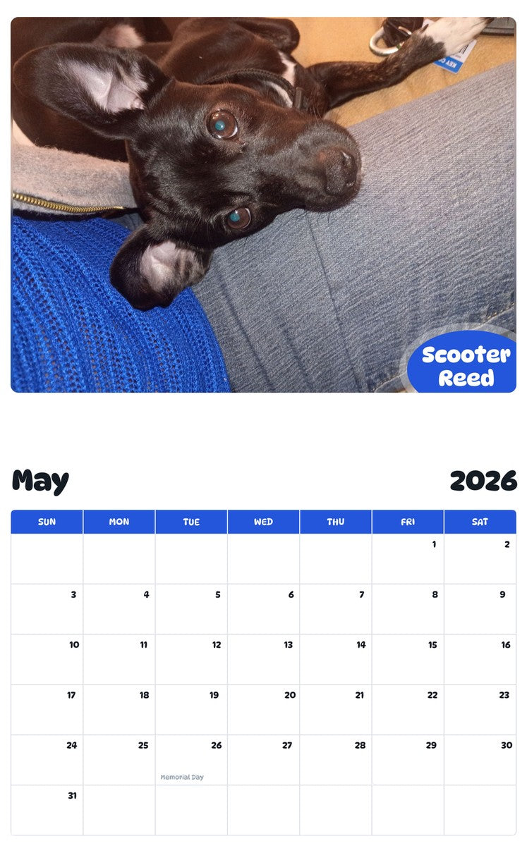 2026 - 2027 Scooter Reed - Pawidols Pet Calendar