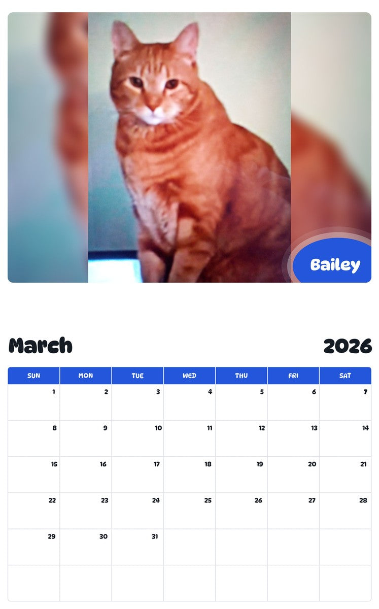 November 2025 - October 2026 Bailey - Pawidols Pet Calendar