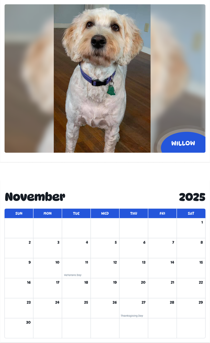 July 2025 - June 2026 Willow - Pawidols Pet Calendar