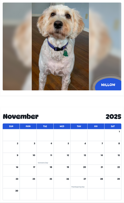 July 2025 - June 2026 Willow - Pawidols Pet Calendar