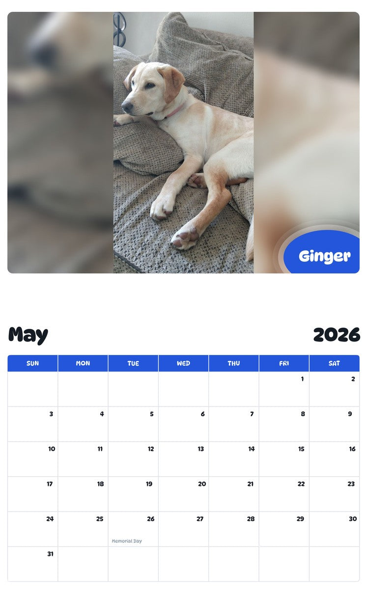 2026 - 2027 Ginger - Pawidols Pet Calendar