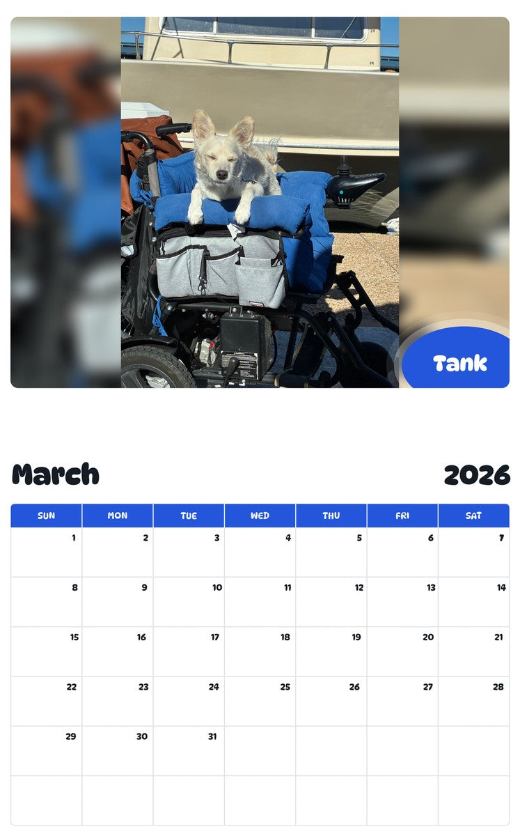 November 2025 - October 2026 Tank - Pawidols Pet Calendar