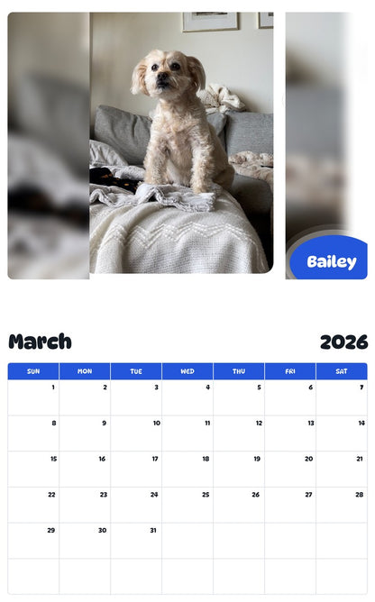 November 2025 - October 2026 Bailey - Pawidols Pet Calendar