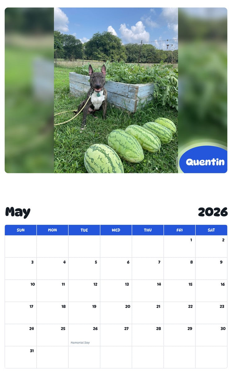 2026 - 2027 Quentin - Pawidols Pet Calendar