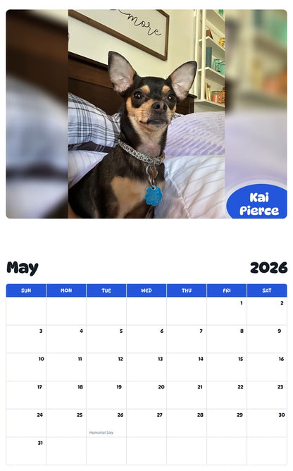 2026 - 2027 Kai Pierce - Pawidols Pet Calendar