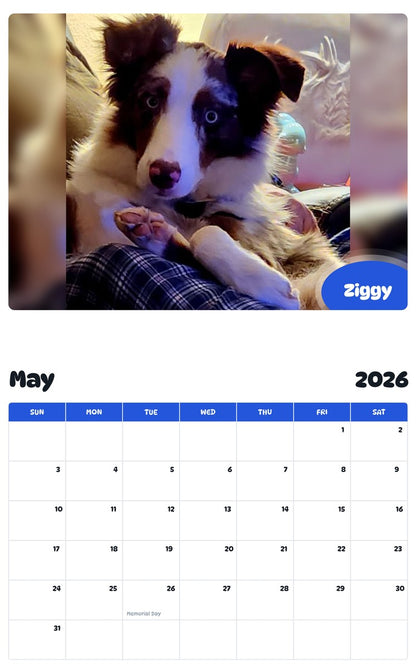 2026 - 2027 Ziggy - Pawidols Pet Calendar