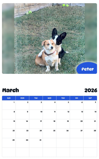 November 2025 - October 2026 Peter - Pawidols Pet Calendar