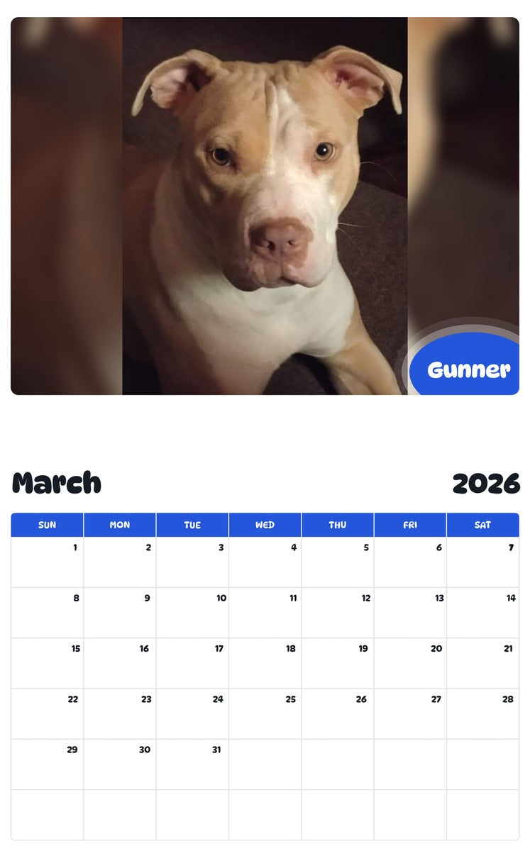November 2025 - October 2026 Gunner - Pawidols Pet Calendar
