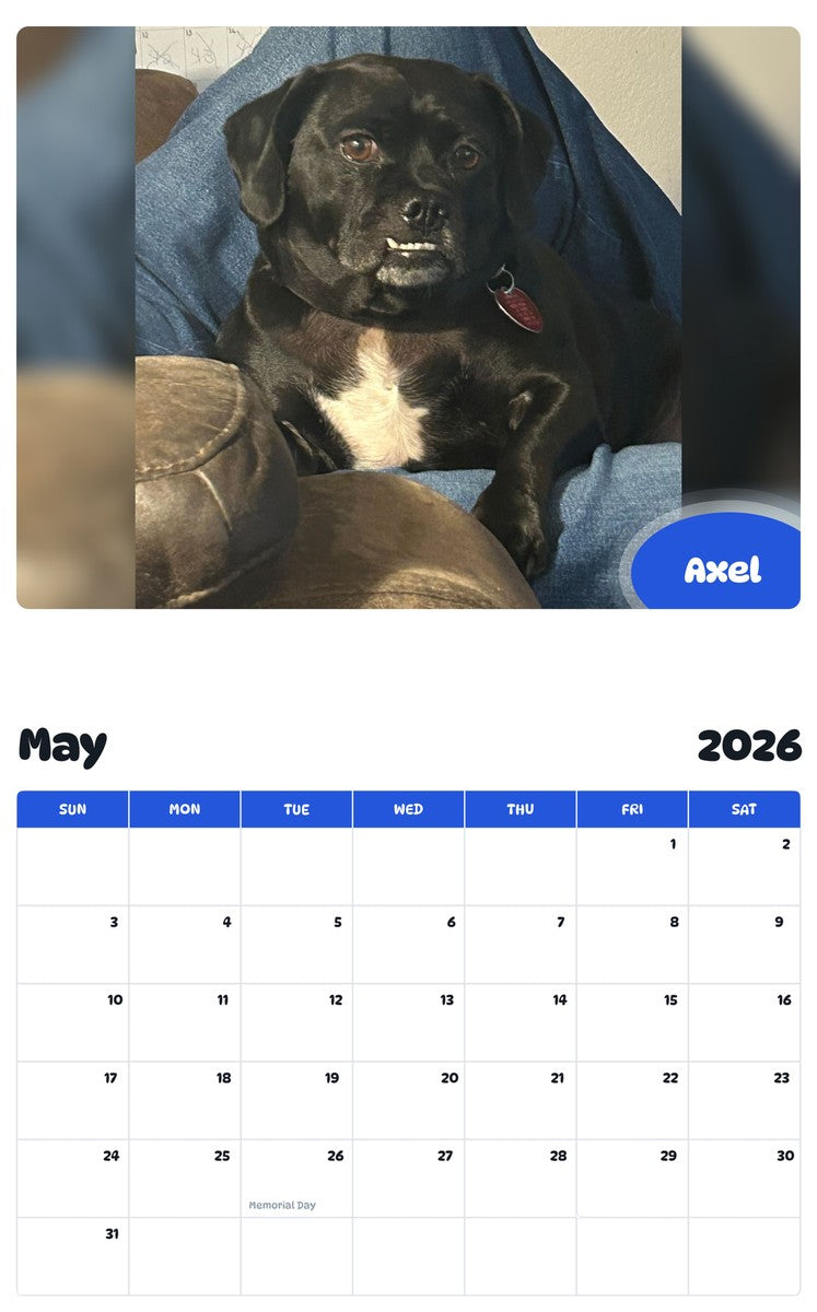 2026 - 2027 Axel - Pawidols Pet Calendar