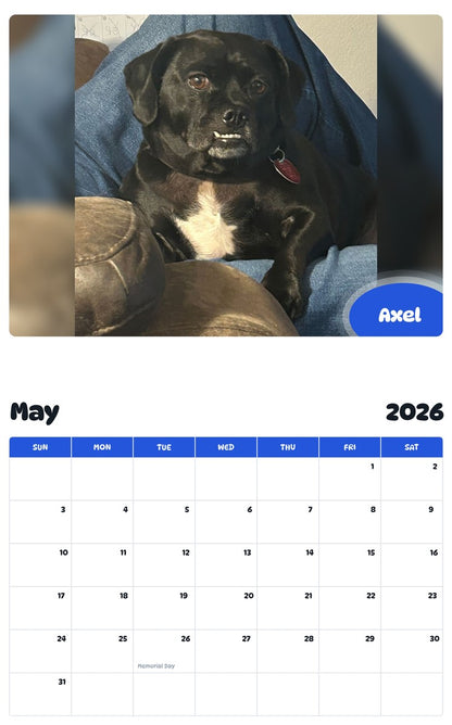 2026 - 2027 Axel - Pawidols Pet Calendar