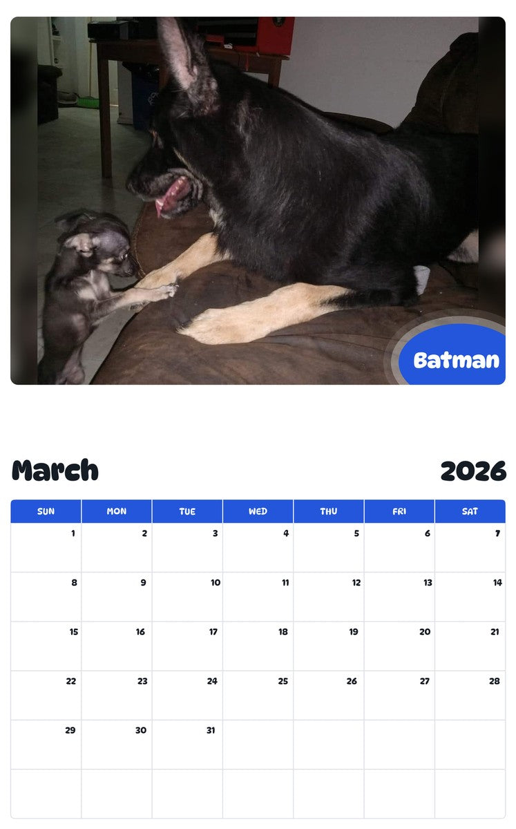 November 2025 - October 2026 Batman - Pawidols Pet Calendar