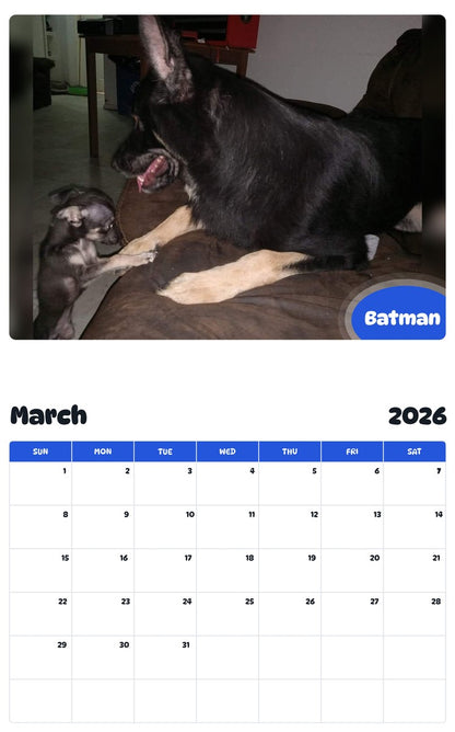 November 2025 - October 2026 Batman - Pawidols Pet Calendar